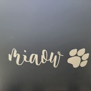 Cat food or treat container